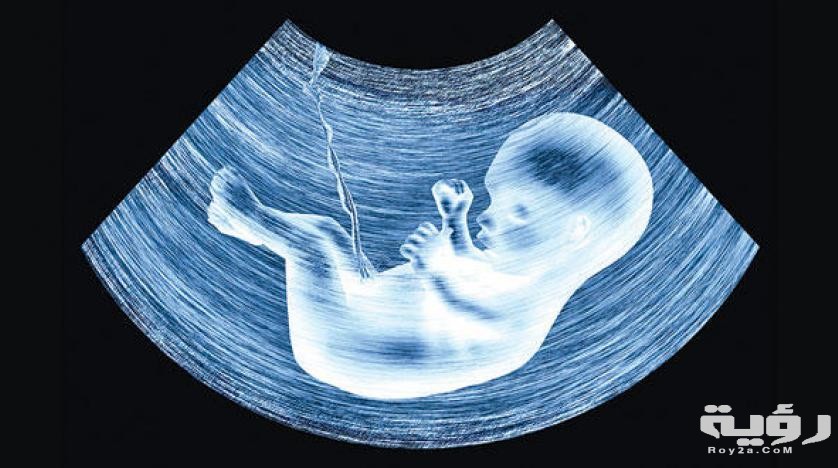 دعاء ثبات الحمل مكتوب - موقع رؤية 