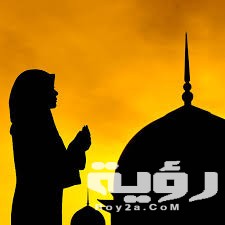 images 1 1