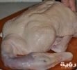 بط مجمد scaled