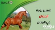horse in dream scaled