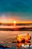 pexels pixabay 462030 scaled