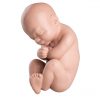 XL001 01 1200 1200 Spare fetus for L20 scaled