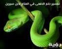 رؤية الافعي في المنام 1 scaled