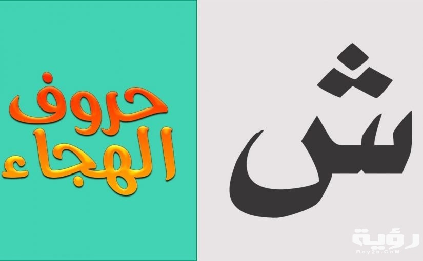 1461 2 825x510 2
