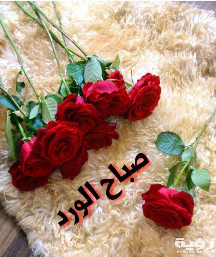 2صباحالحبوالورد2020
