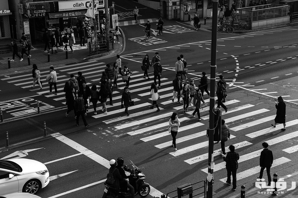 the traffic light