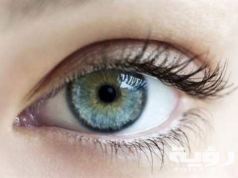 200 EyeJPG CrQu65 RT480x360 OS605x397 RD480x360