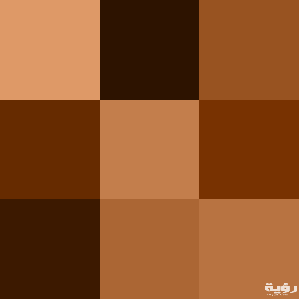 Color icon brown.svg