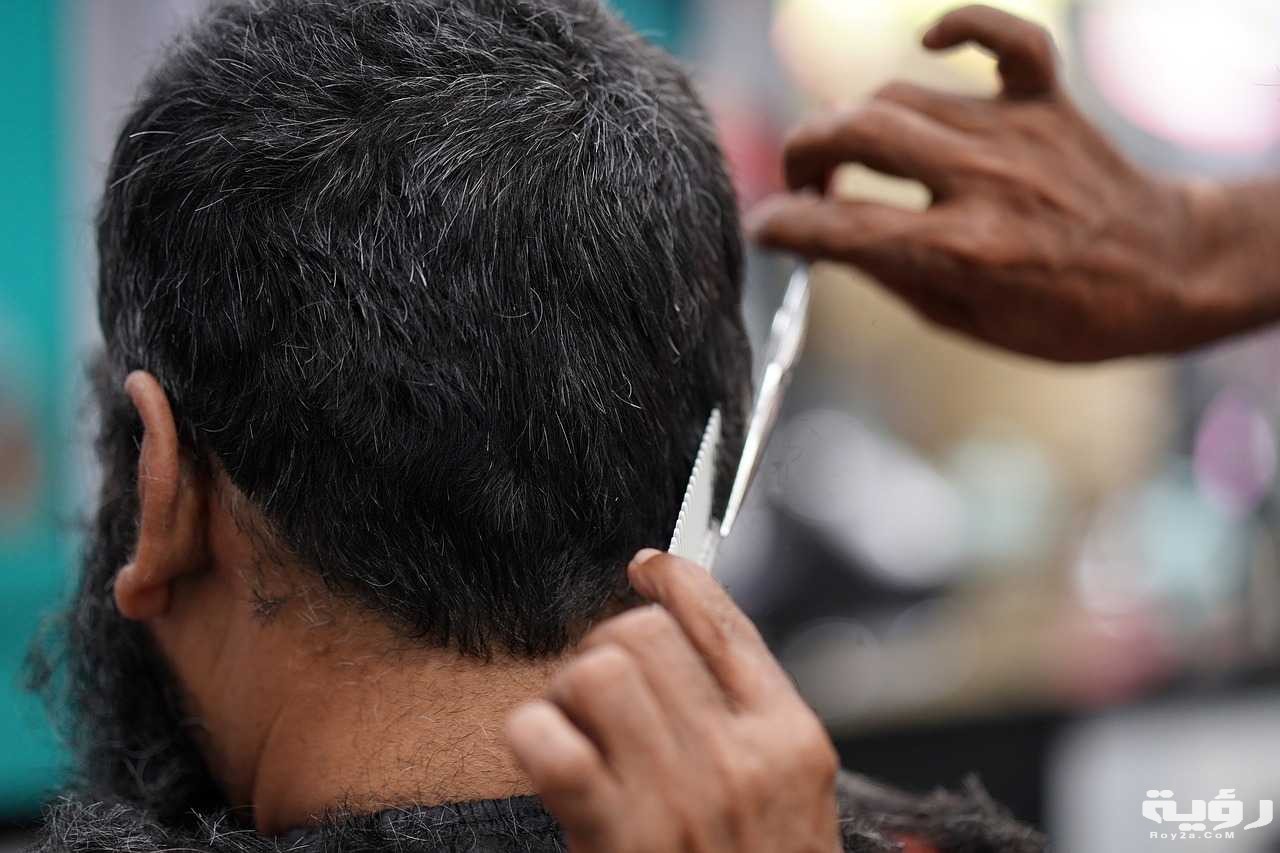 Hairdresser Cutting Hair Hairstyle Men Hair Salon 3572052