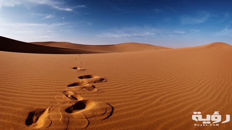 رملة