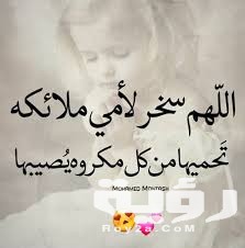 images28129 1