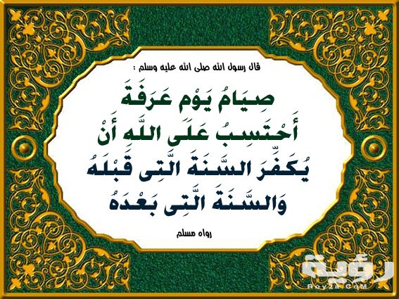عرفة