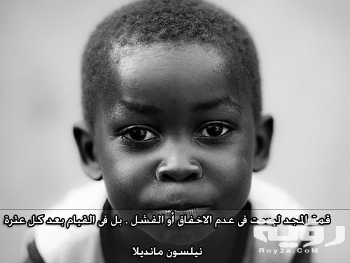 C1F2EBD3 B53B 4FF5 BAC9 BF6550D01579