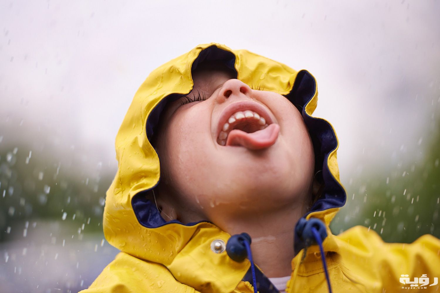 Drinking Rain 58e6ae725f9b58ef7e11a505