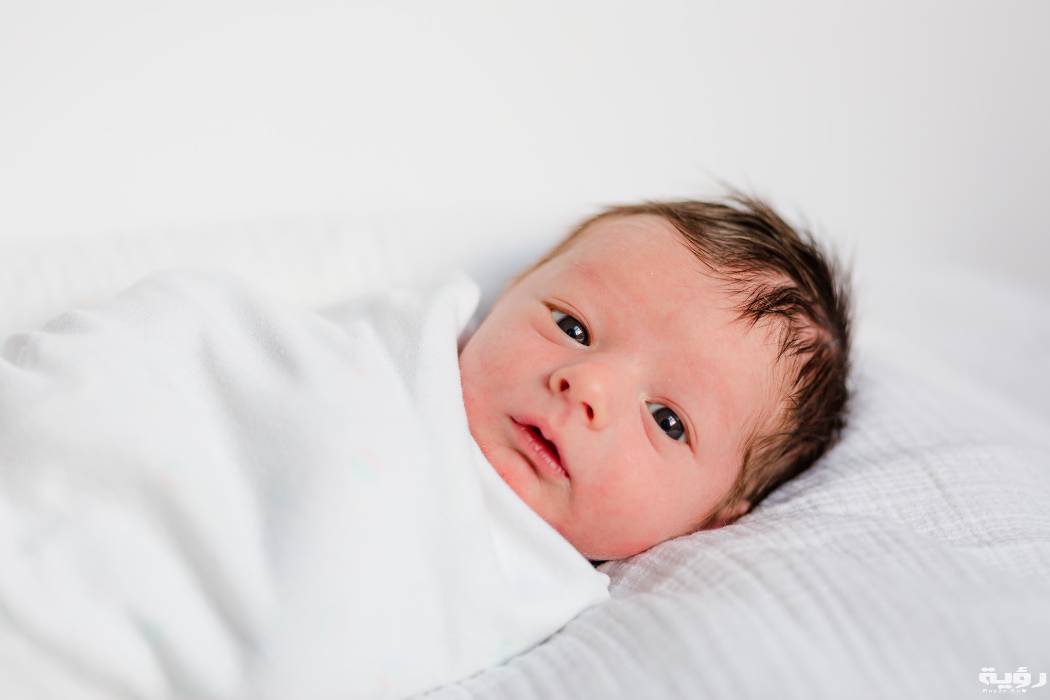 holiday newborn photos 100