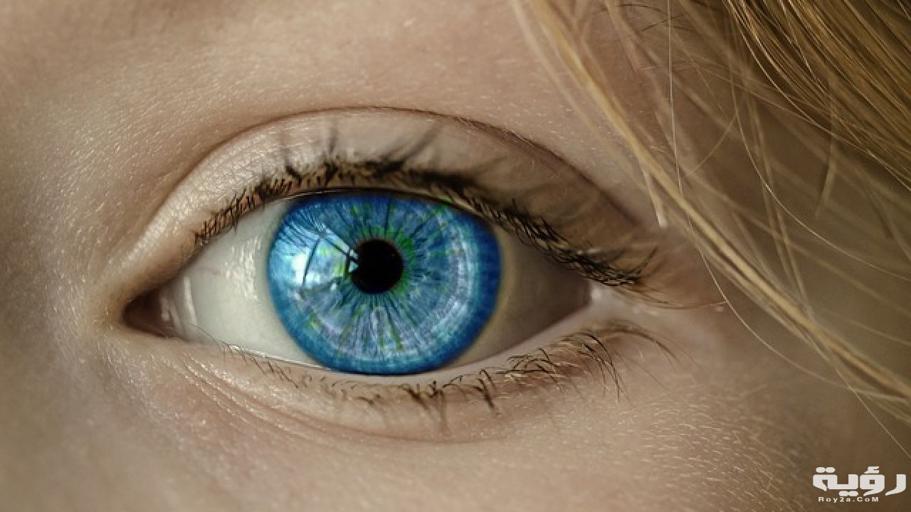 the difference between the eye and the envy