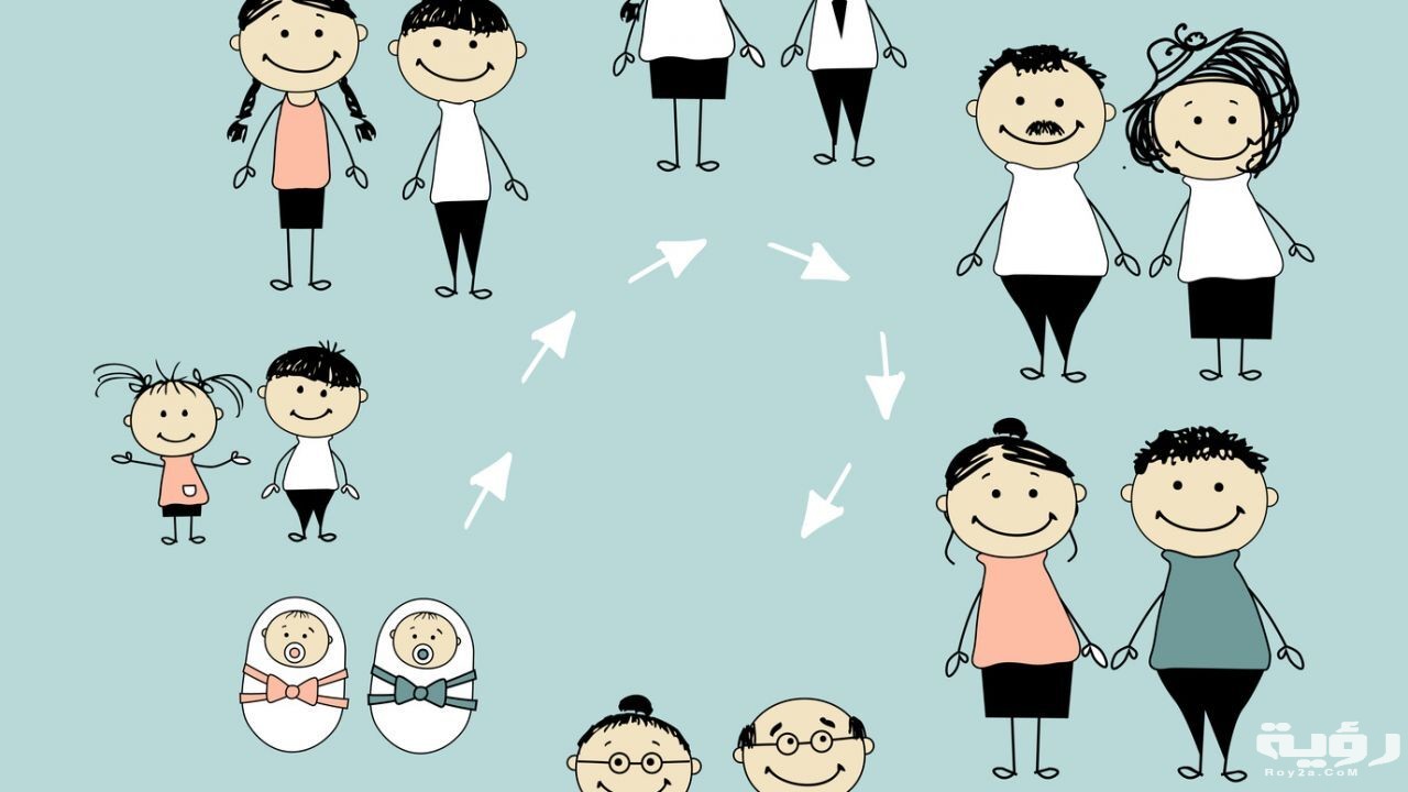 stages of human growth