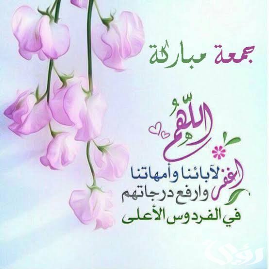 images 2022 03 17T025810.919