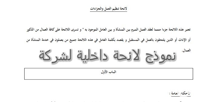نموذج لائحة داخلية لمنظمة