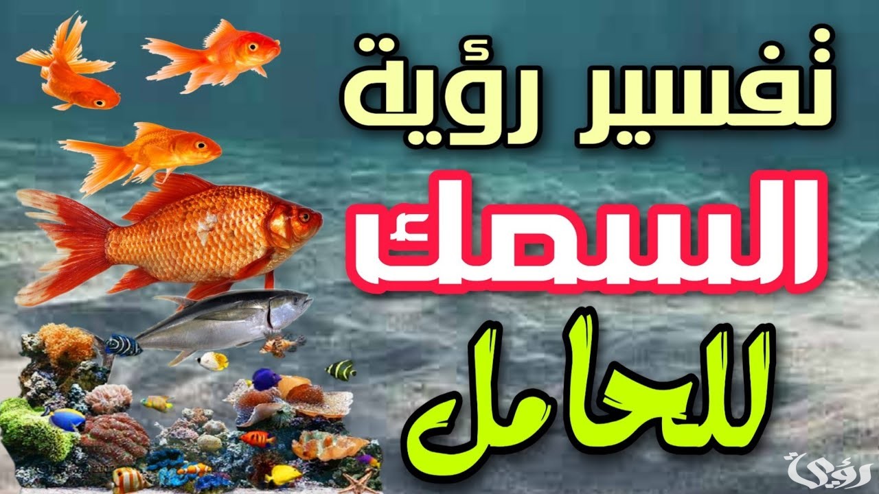تفسير حلم أكل السمك للحامل
