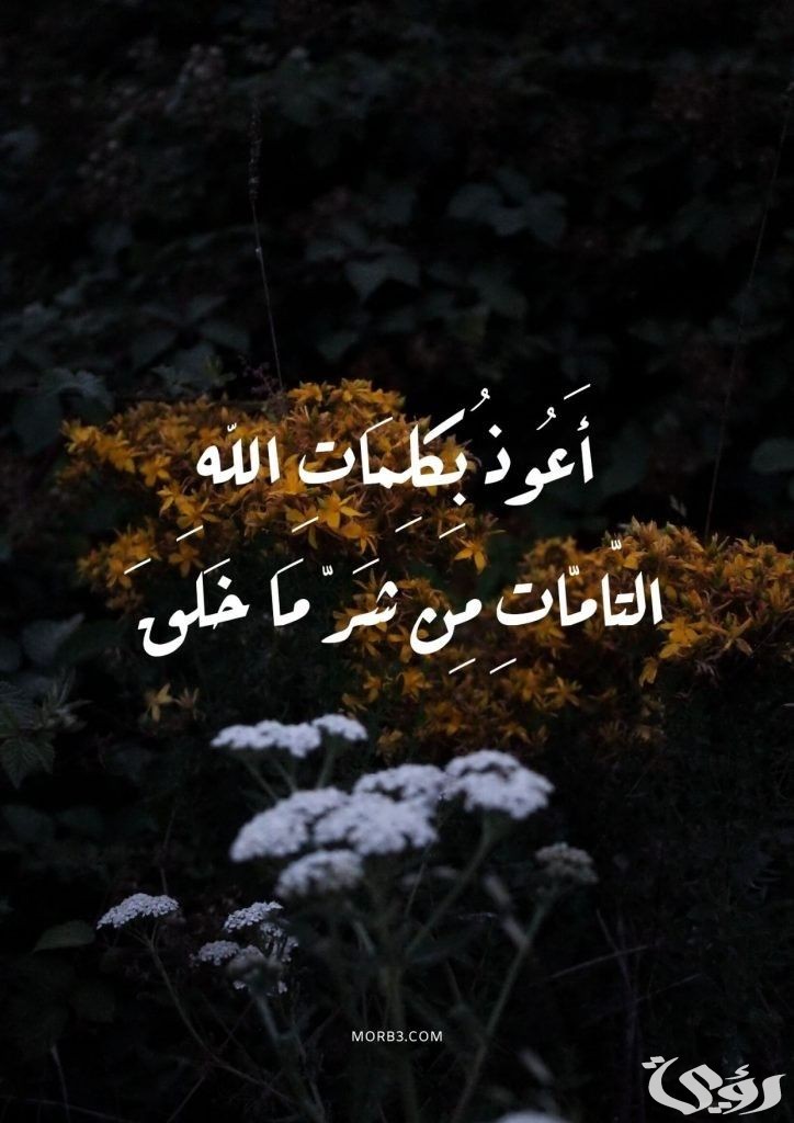 تفسير أعوذ بكلمات الله التامات من شر ما خلق في المنام