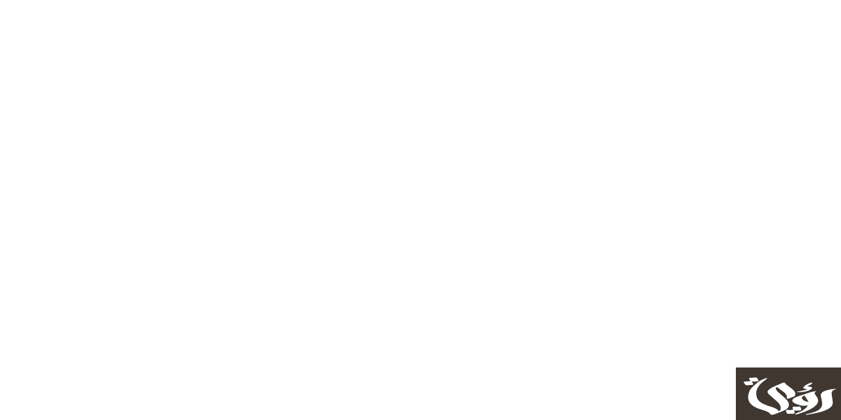 نموذج سيرة ذاتية