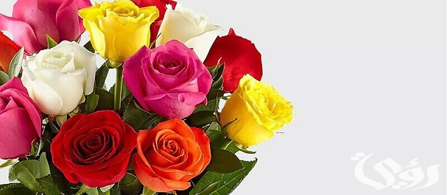 أسماء بنات من الصحابة
