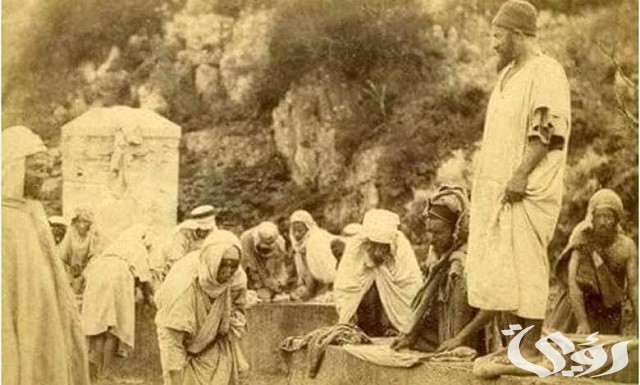 معرفة شجرة العائلة في الجزائر