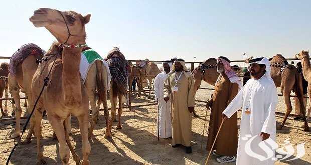 أفخاذ قبيلة حرب بالكامل وأشهر فروع حرب