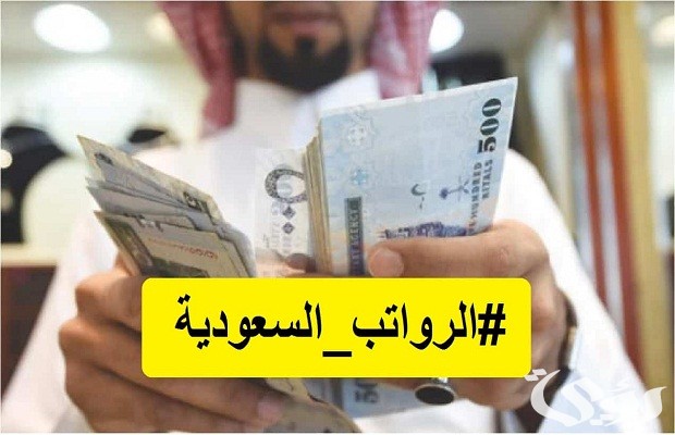 كم رواتب شركة الاسمنت السعودية