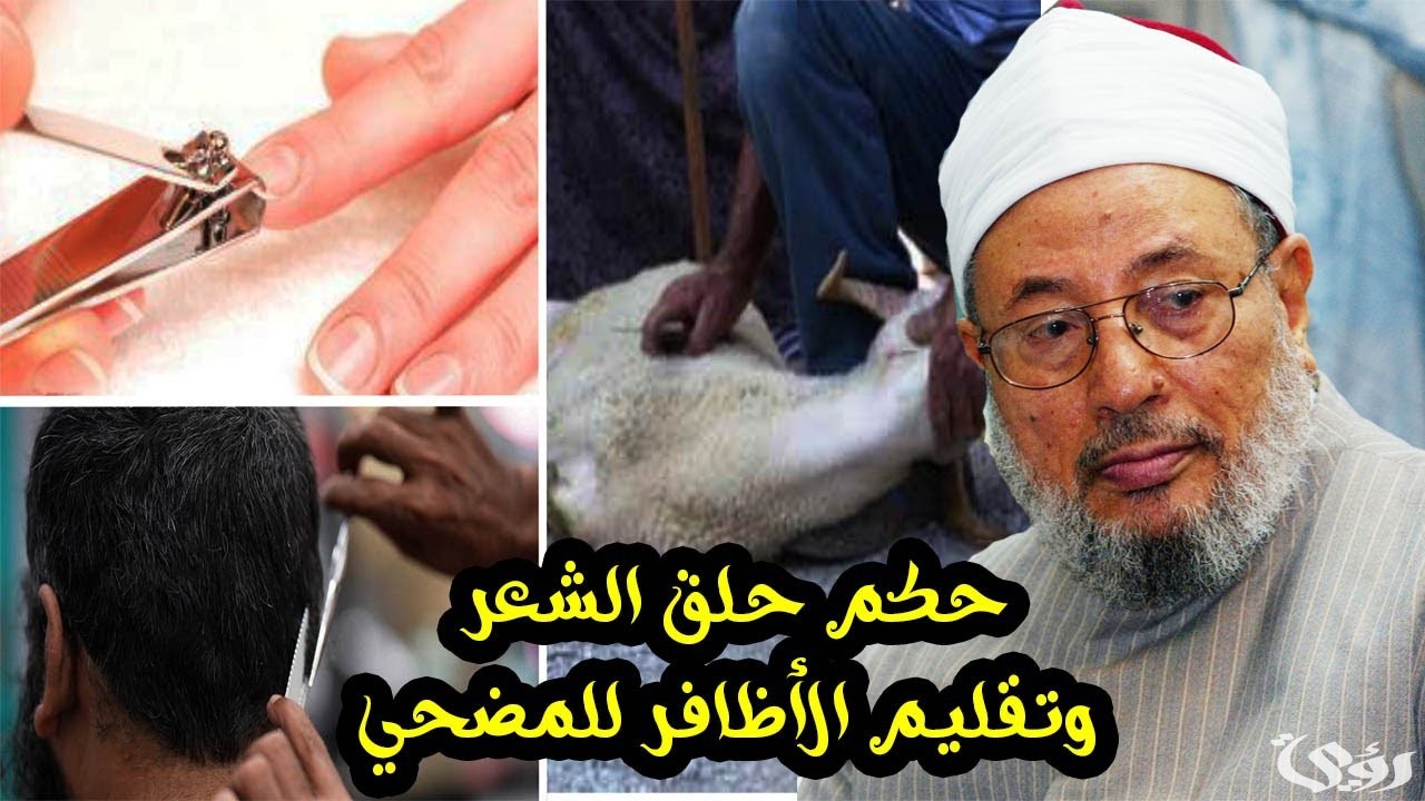"المطلق": اجتناب تقليم الأظافر وقص الشعر للمضحي في العشر.. مستحب وليس واجبًا