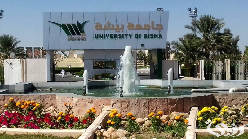 للعام الجامعي 1446هـ.. جامعة بيشة تُتيح القبول في 10 تخصّصات بمرحلتَي البكالوريوس والدبلوم