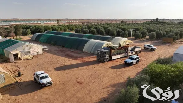محمية الملك سلمان و"مروج" يتعاونان لتفعيل دور المتطوعين في تنمية الغطاء النباتي