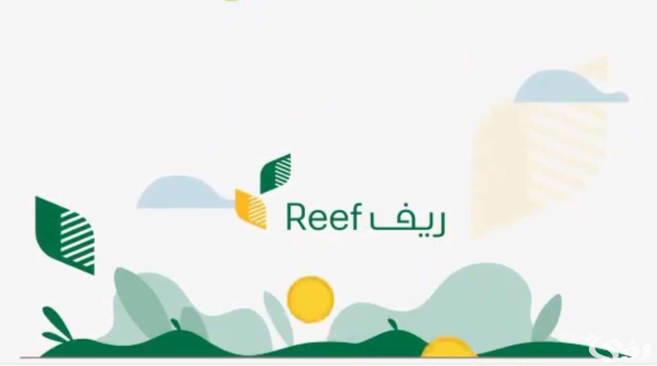 متى ينزل دعم ريف هذا الشهر العد التنازلي لموعد صرف ريف