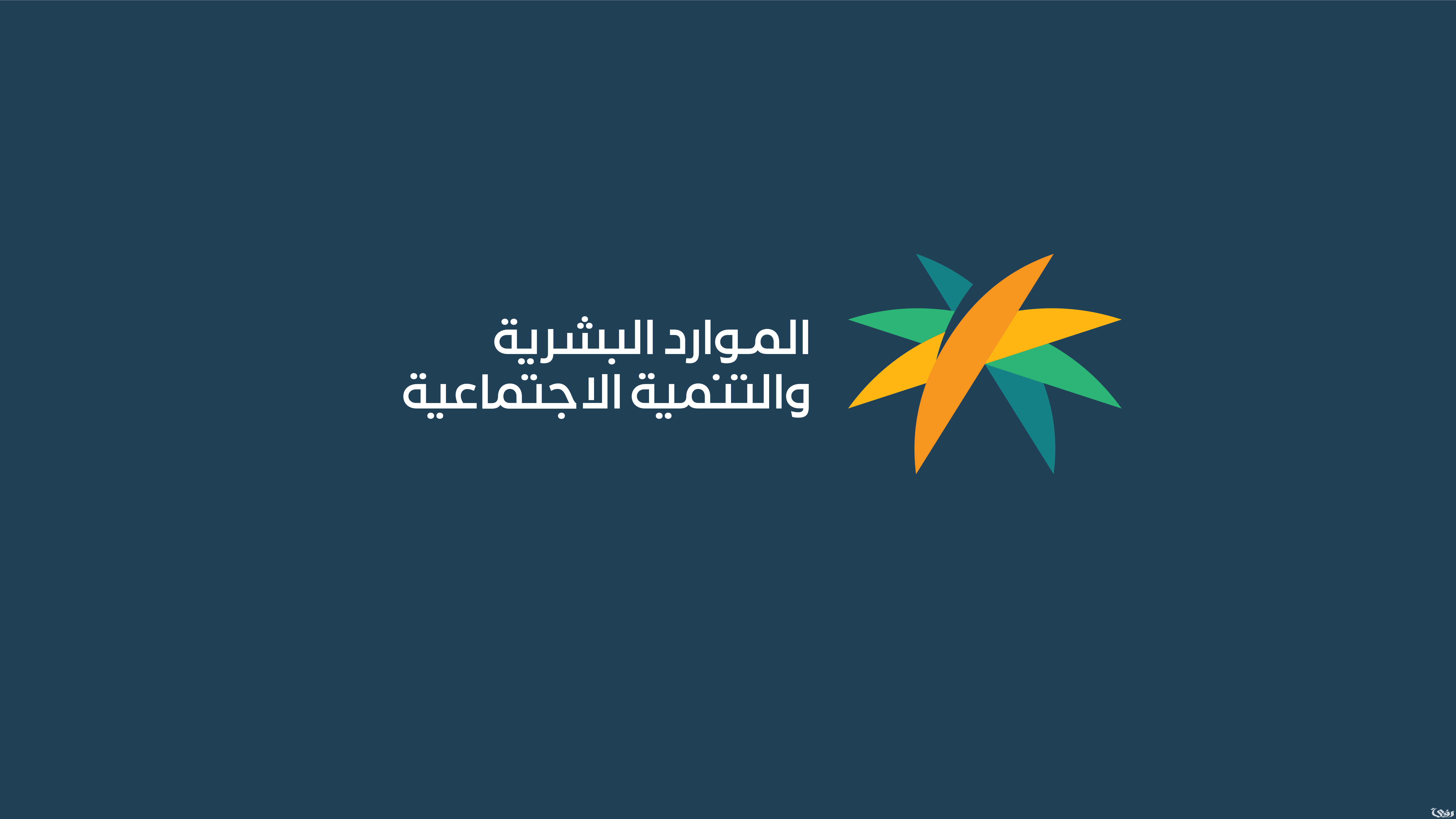 وزارة الموارد البشرية تعلن إيداع معاش الضمان الاجتماعي للمستحقين اليوم