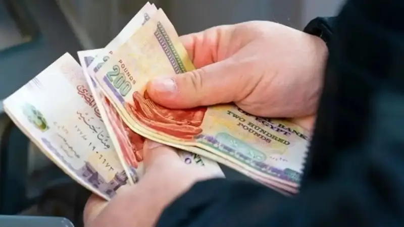 زيادة المعاشات شهر يناير 2025: التفاصيل والخطوات للاستعلام