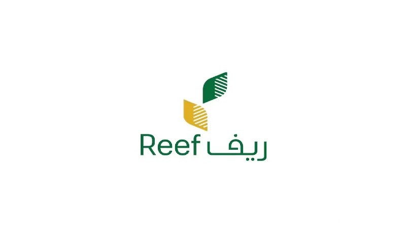 استعلم الآن | صرف دعم ريف لدفعة قبل نهاية عام 2024 بهذا الموعد.. الوزارة تعلن