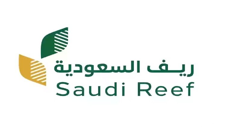 كيفية الاستعلام عن دعم ريف الدفعة الجديدة 2025 وخطوات التسجيل عبر reef.gov.sa