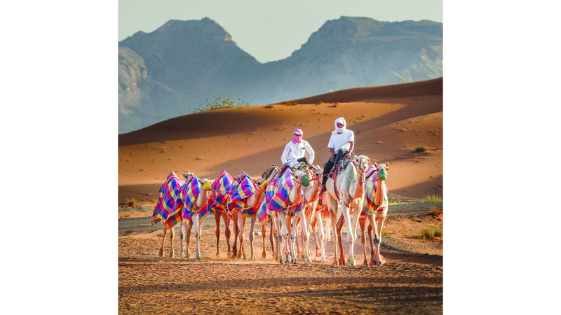 استكشاف تراثنا العريق: رحلة عبر الزمن تعيد إحياء الثقافة العربية