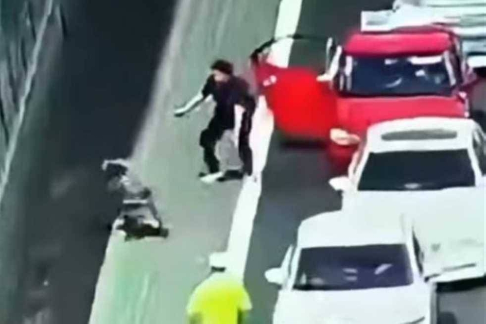 خروف شارد يسبب ازدحامًا مروريًا في الصين لمدة 40 دقيقة - تفاصيل الحادث الطريف