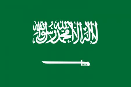 المملكة تؤكد دعمها لبيان الشركاء الدوليين لإنهاء النزاع في قطاع غزة