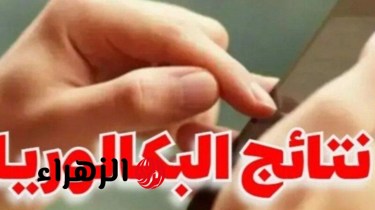 اكتشف الآن: رابط نتائج البكالوريا 2025 حسب الاسم ورقم الاكتتاب – لا تفوتوا الفرصة!