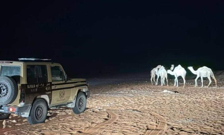 الأمن البيئي في السعودية يعتقل مواطناً لمخالفته قوانين الرعي في مناطق محظورة
