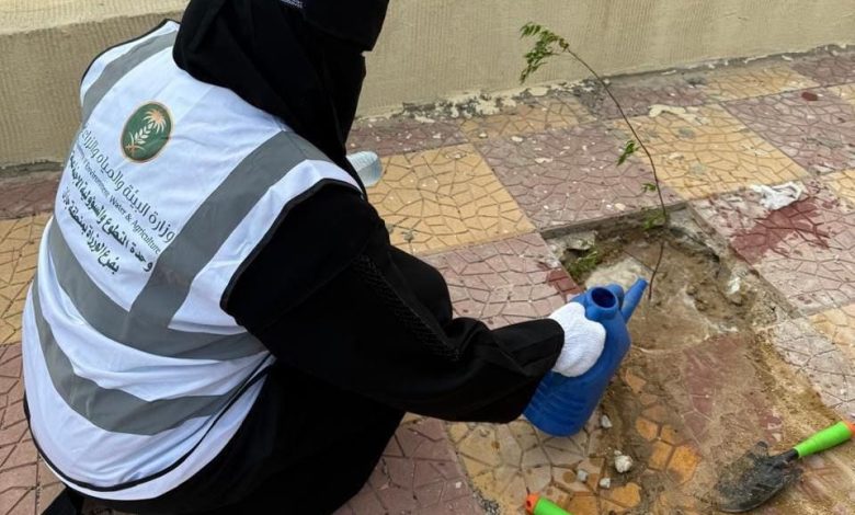 وحدة الثروة السمكية بجزر فرسان تطلق مبادرة "السعودية الخضراء" لتعزيز الاستدامة البيئية في المنطقة 1 وحدة الثروة السمكية بجزر فرسان تطلق مبادرة "السعودية الخضراء" لتعزيز الاستدامة البيئية في المنطقة