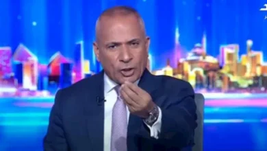 أحمد موسى: لا جدوى من اتفاقيات إبراهيمية دون حل شامل للقضية الفلسطينية