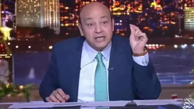 أديب يدعو إلى الإفراج عن الشباب المصري المعتقل بسبب تضامنهم مع غزة