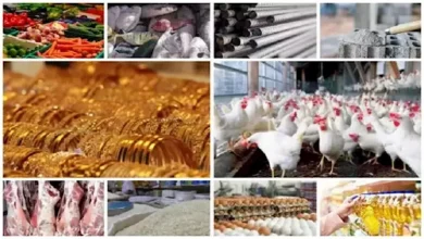 أسعار اليوم 13 أكتوبر 2025: تراجع ملحوظ في أسعار الدقيق والزيت واستمرار انخفاض الذهب