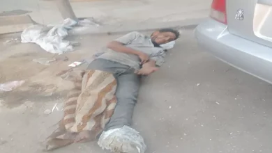 إنقاذ مشرد في الزقازيق بعد تعرضه لحالة تعفن خطيرة: تفاصيل مثيرة عن صراعه من أجل البقاء