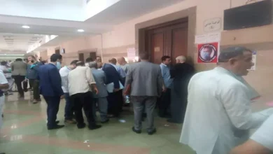 ارتفاع عدد مرشحي النواب في القليوبية إلى 56 مع استمرار فترة التقديم لليوم الخامس