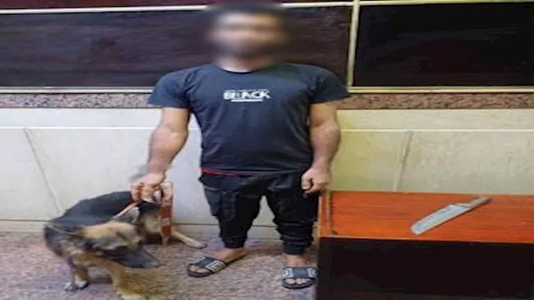 القبض على بلطجي في الجيزة بعد تهديد المواطنين بسلاح أبيض وكلب شرس 1 القبض على بلطجي في الجيزة بعد تهديد المواطنين بسلاح أبيض وكلب شرس